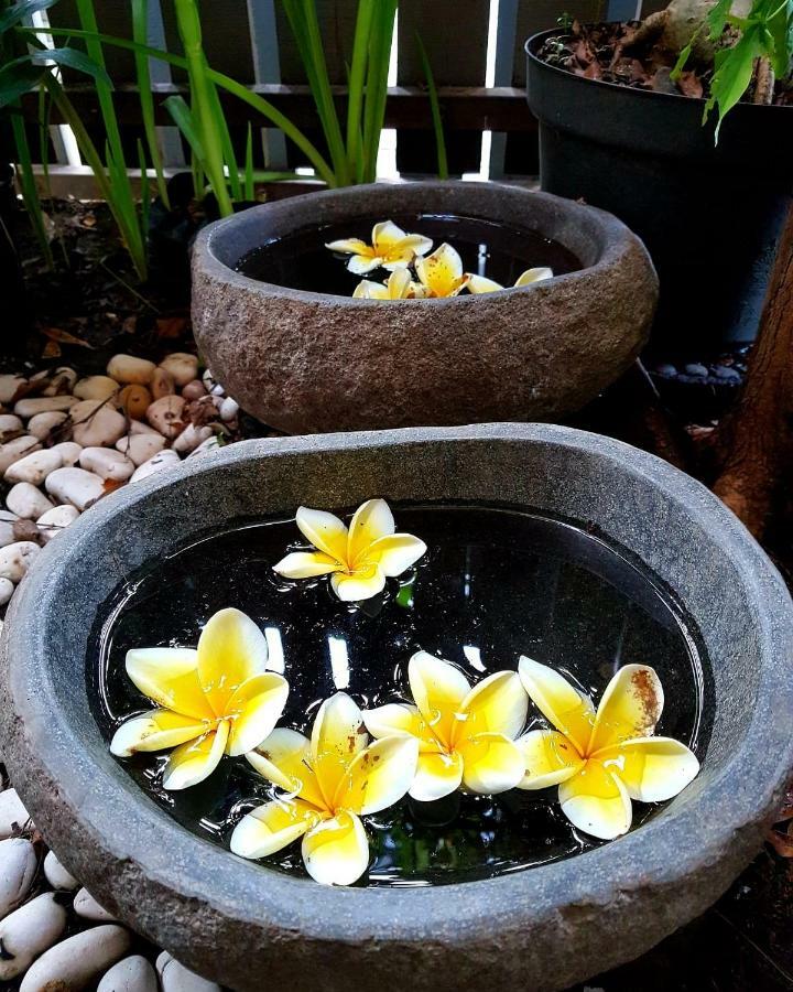 Villa Kayu Jogyakarta Zewnętrze zdjęcie