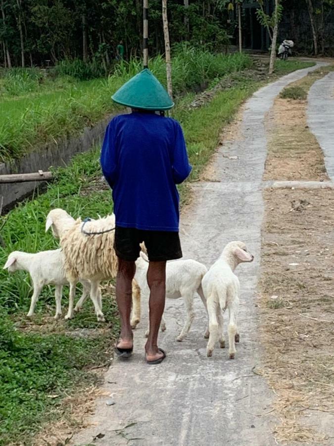 Villa Kayu Jogyakarta Zewnętrze zdjęcie