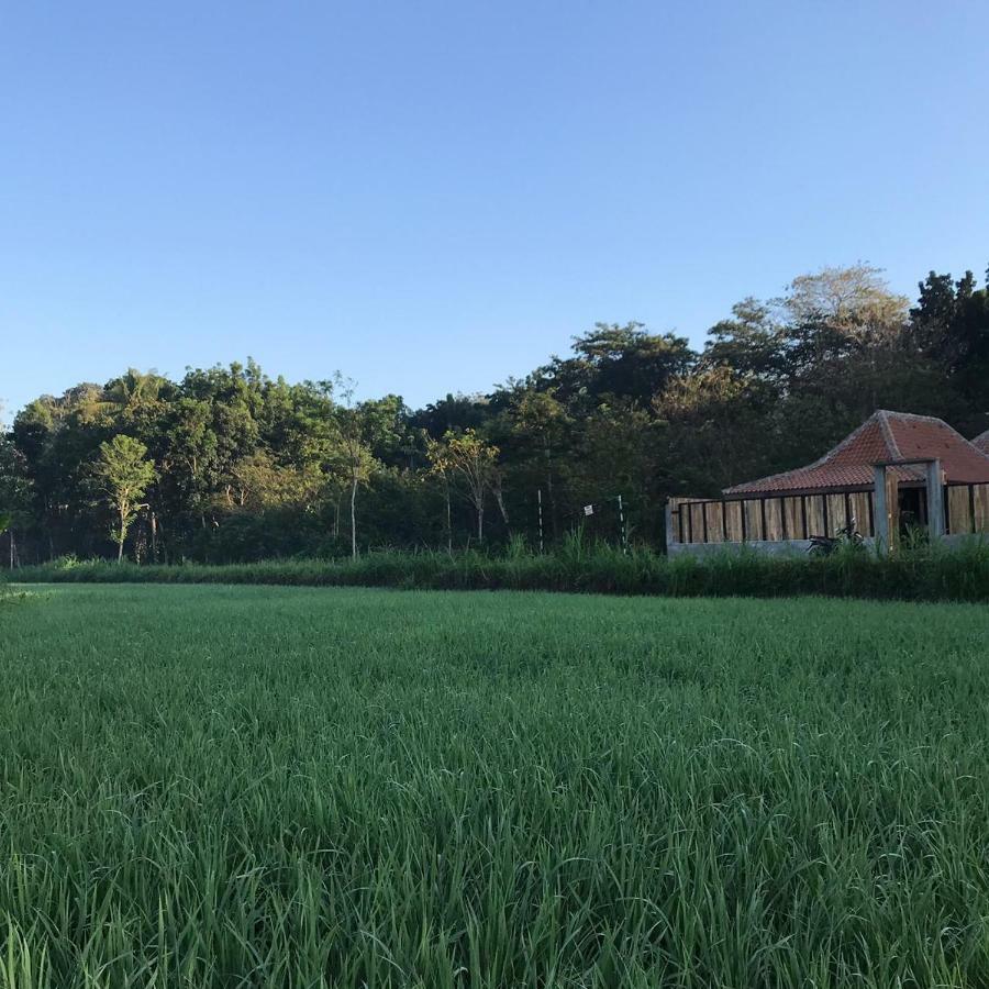Villa Kayu Jogyakarta Zewnętrze zdjęcie